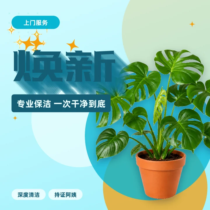 焕新