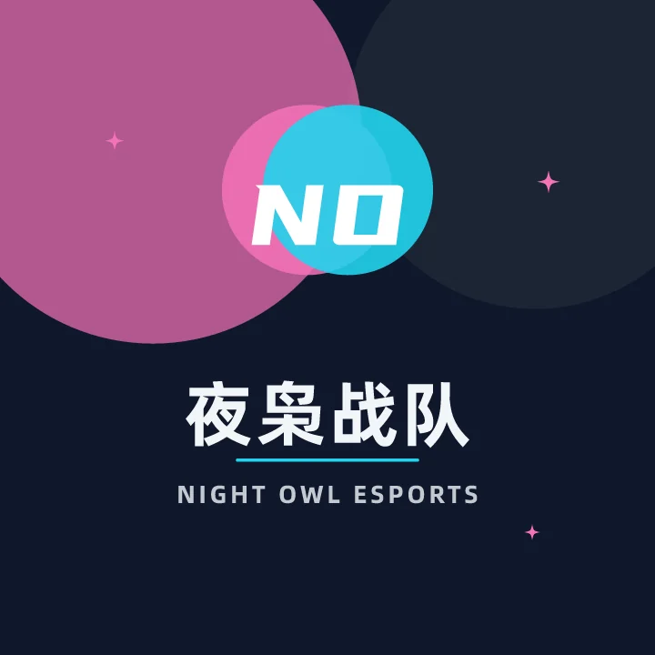夜枭战队