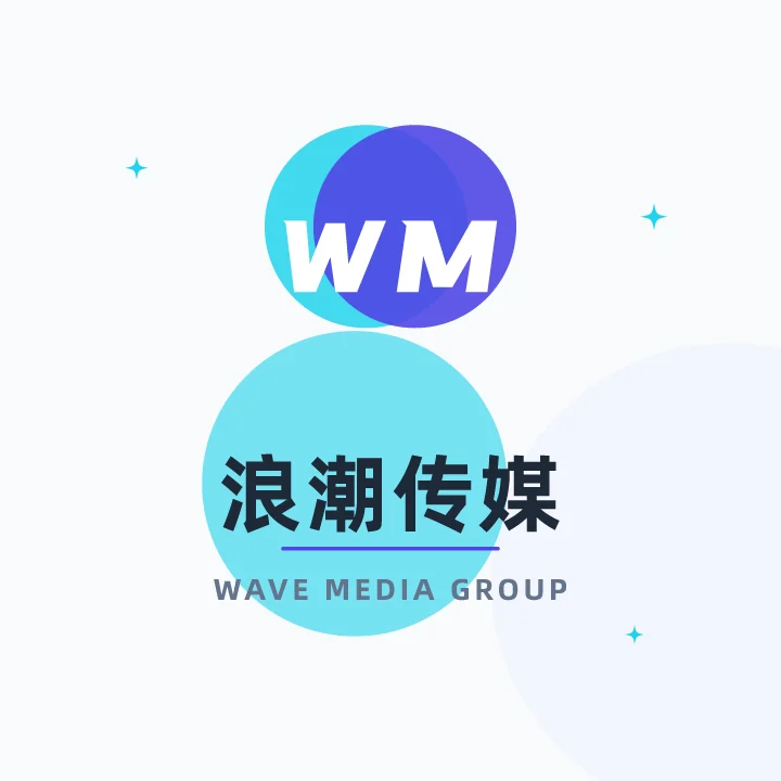 浪潮传媒