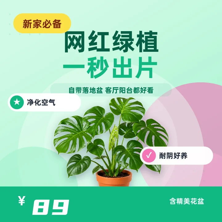网红绿植一秒出片