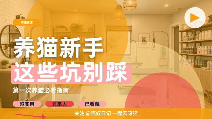 养猫新手这些坑别踩