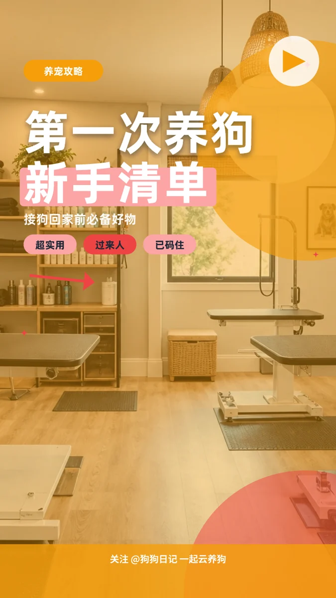 第一次养狗新手清单