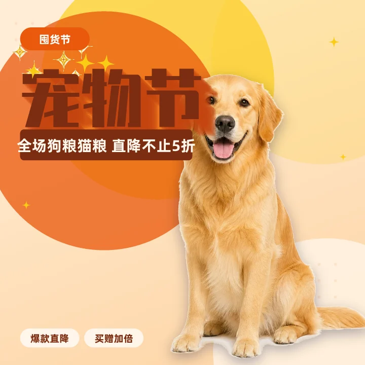 宠物节