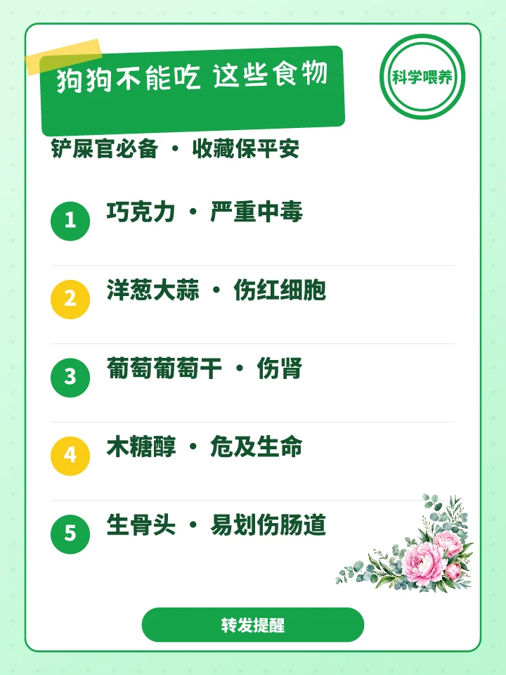 狗狗不能吃这些食物