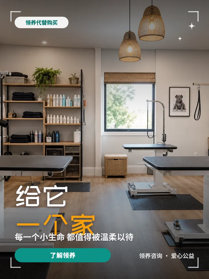 给它一个家