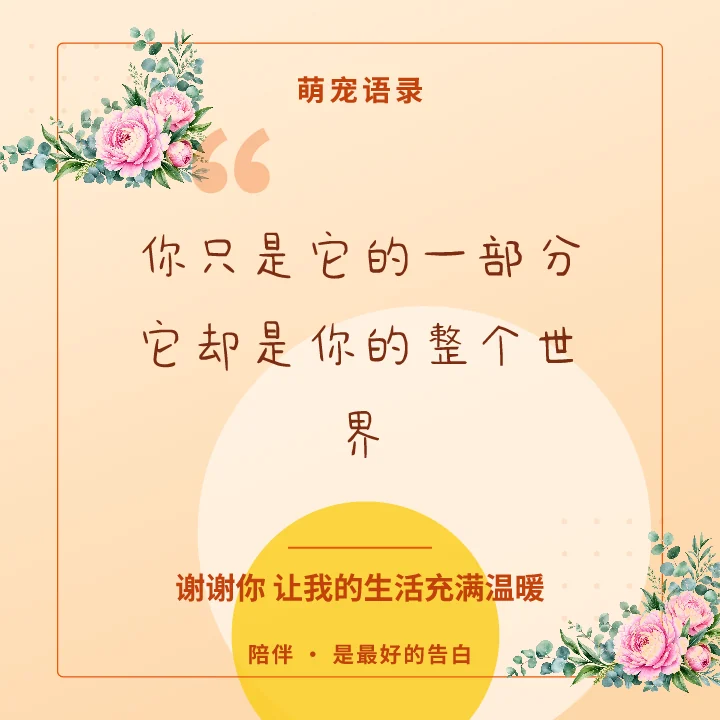 你只是它的一部分它却是你的整个世界