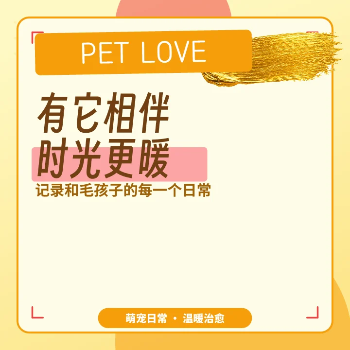 有它相伴时光更暖