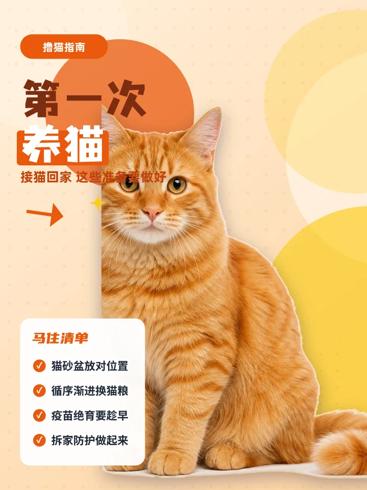第一次养猫