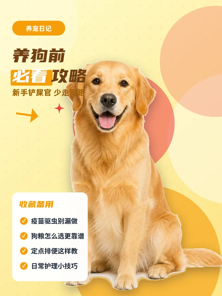 养狗前必看攻略