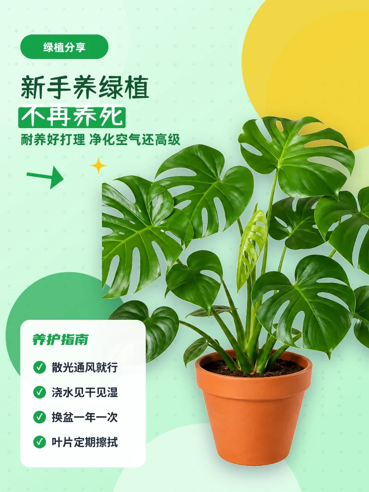 新手养绿植不再养死