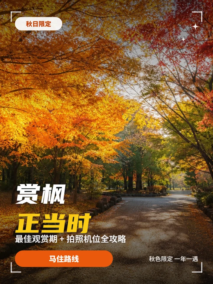 赏枫正当时